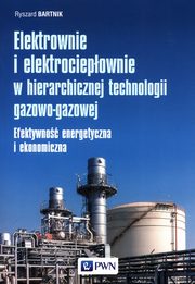 Elektrownie i elektrociepłownie w hierarchicznej technologii gazowo-gazowej, Bartnik Ryszard